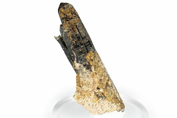 Dark Black Smoky Quartz Crystal Cluster - Malawi #348776